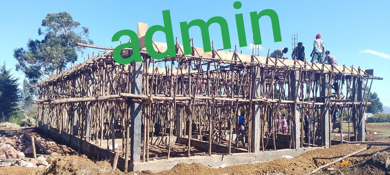 photo 7 2026 04 06 11 19 47